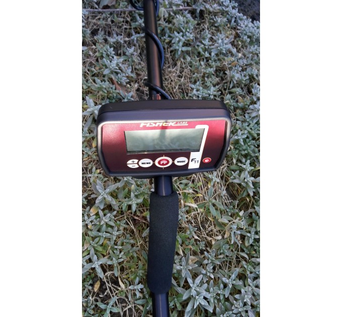 Металошукачі FISHER F11