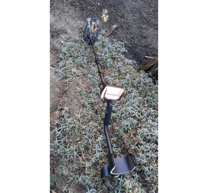 Металошукачі FISHER F22