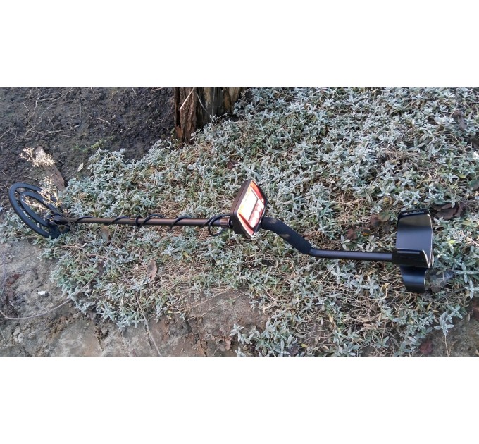 Металошукачі FISHER F22