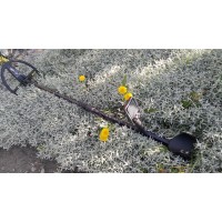 МЕТАЛОШУКАЧ Gauss MD