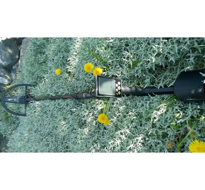 Металошукачі Gauss MD